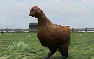 Crazy Chicken 3D